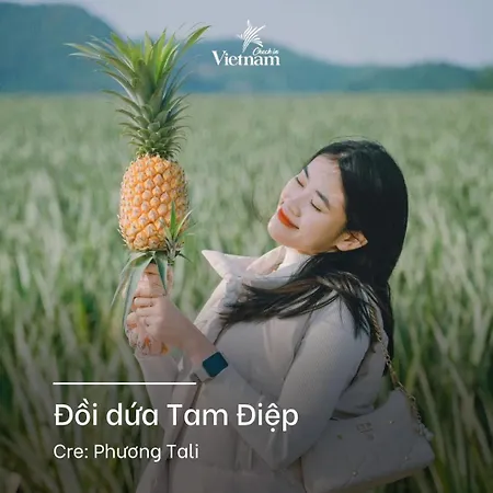 Cherry Homestay Ninh Bình Extérieur photo