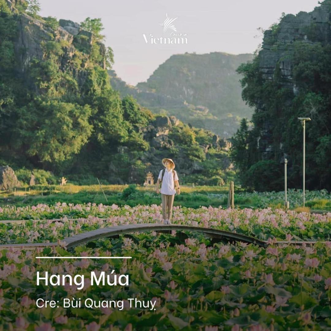 Cherry Homestay Ninh Binh