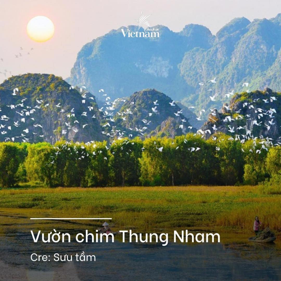 Cherry Homestay Ninh Binh