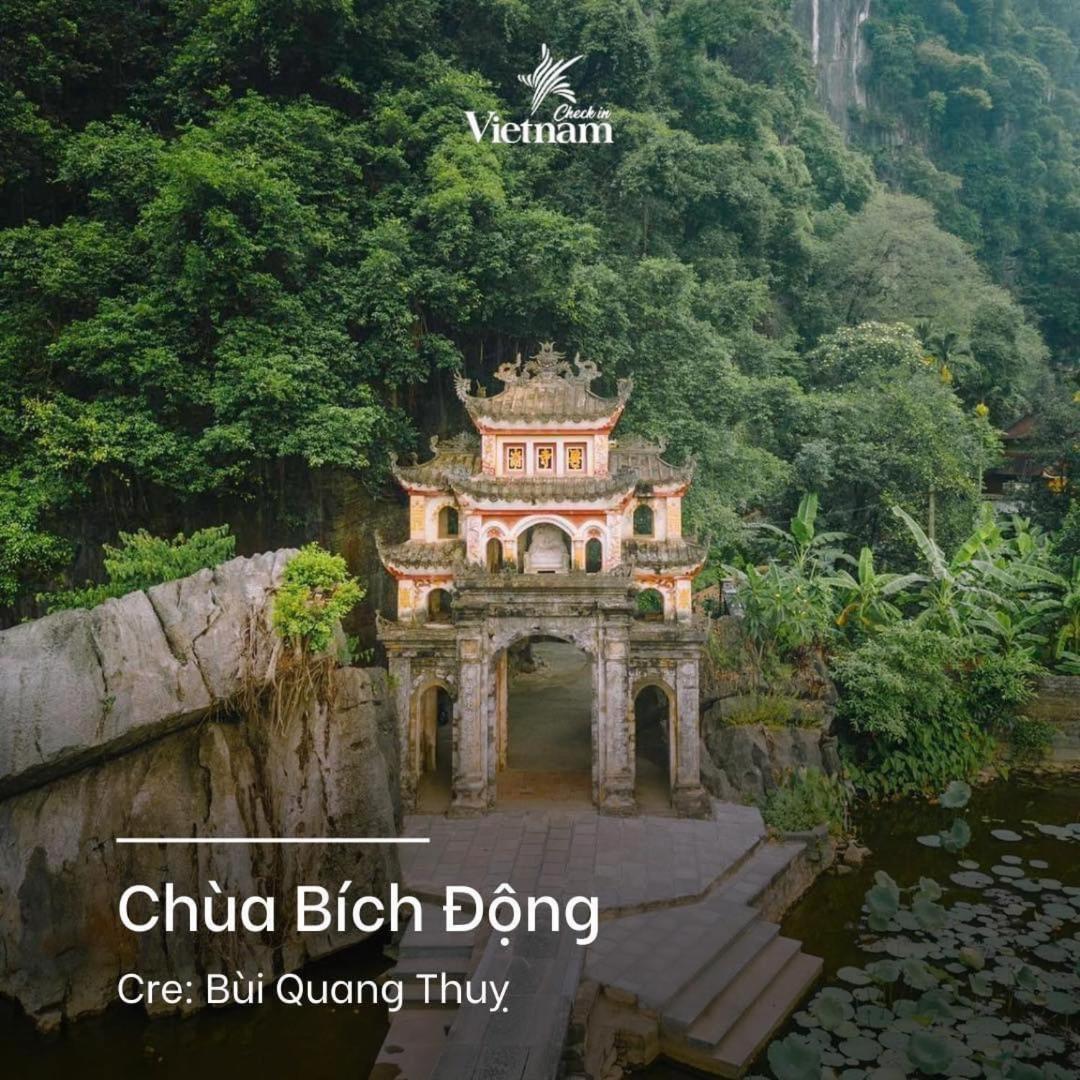 Cherry Ninh Binh